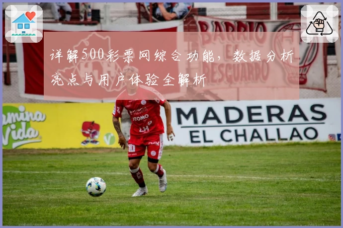 详解500彩票网综合功能，数据分析亮点与用户体验全解析