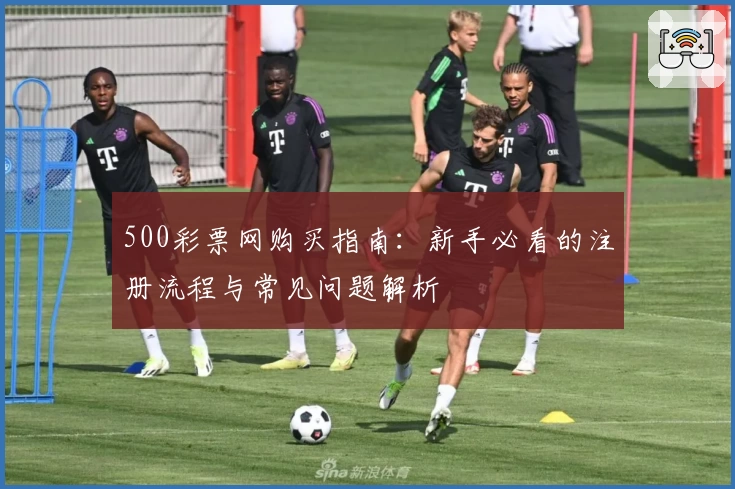 500彩票网购买指南：新手必看的注册流程与常见问题解析