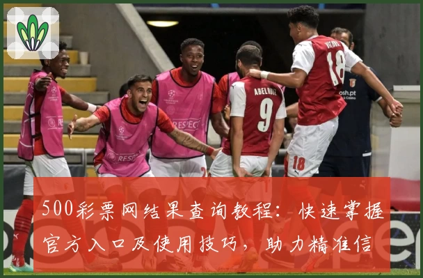 500彩票网结果查询教程：快速掌握官方入口及使用技巧，助力精准信息获取