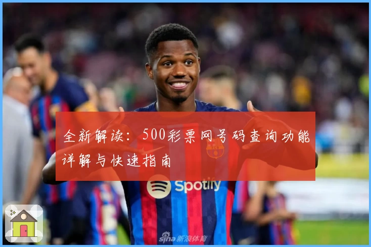 全新解读：500彩票网号码查询功能详解与快速指南