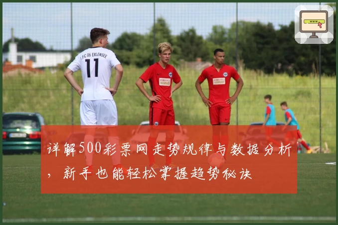 详解500彩票网走势规律与数据分析，新手也能轻松掌握趋势秘诀